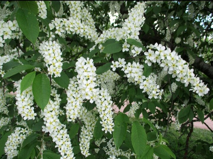 Молодец! Качество отменное! 👍