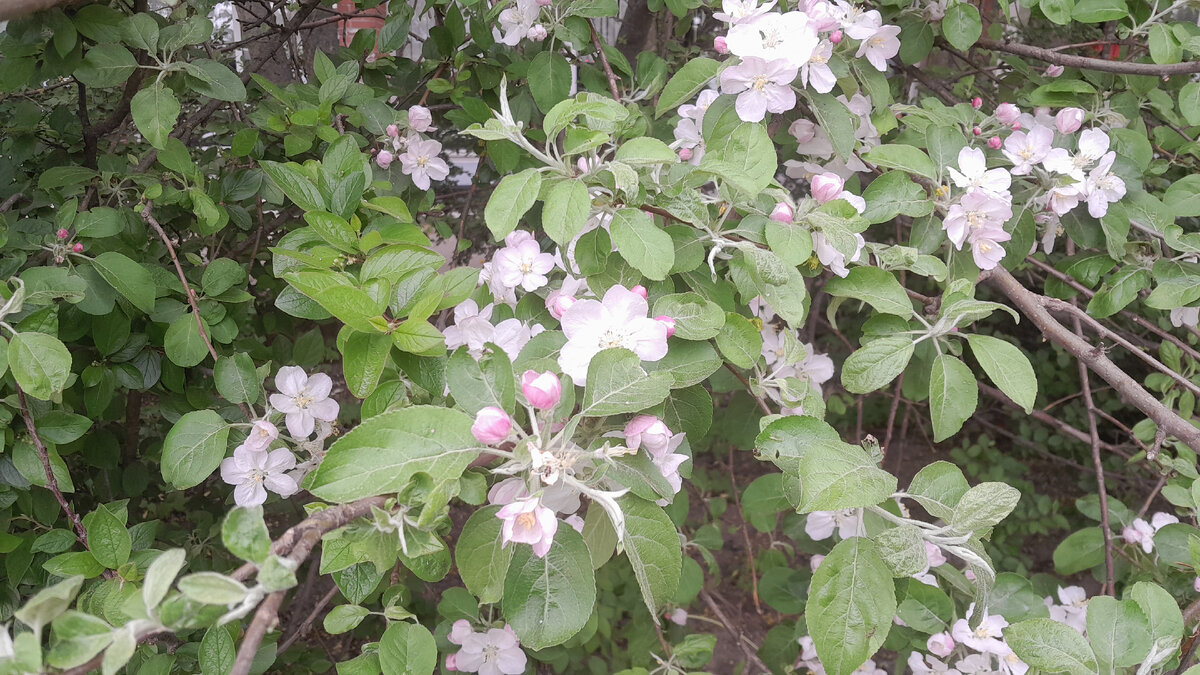 Фото Ирины Одарчук 