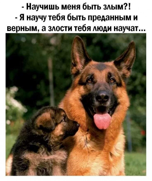 Фото из открытого источника. 