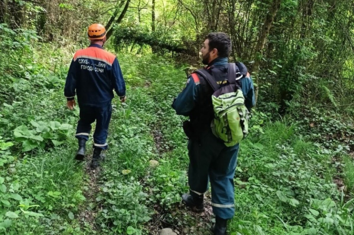    Найдена пенсионерка, заблудившаяся в районе санатория «Чемитоквадже» в Сочи