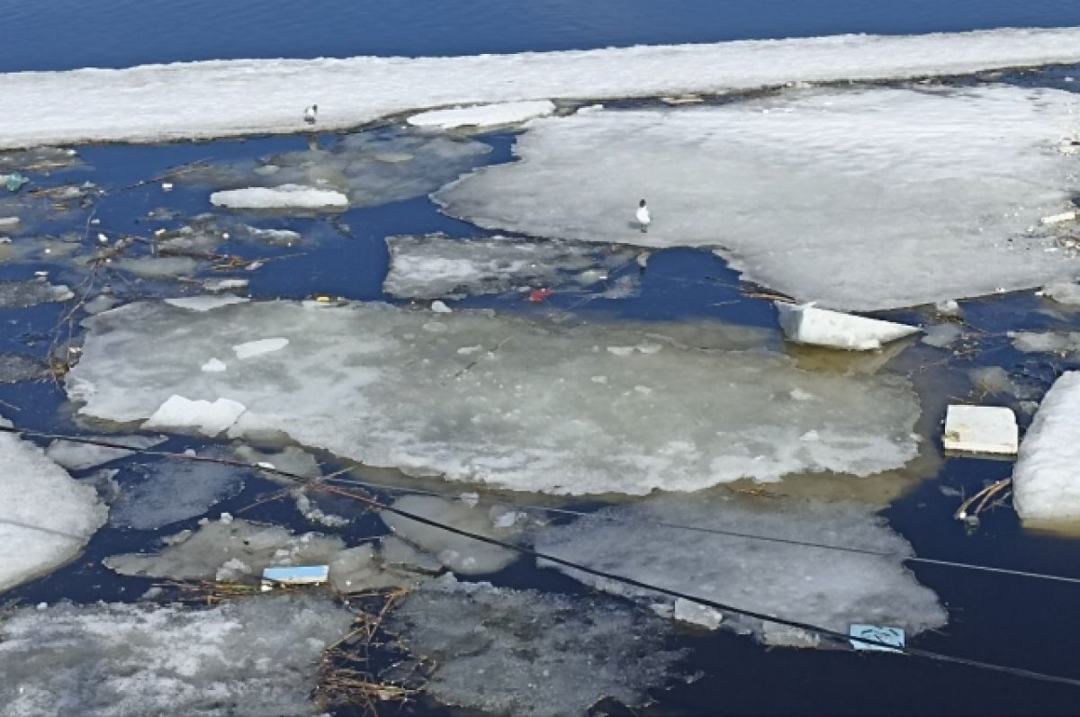    В ямальском селе произошел резкий подъем уровня воды из-за затора льда