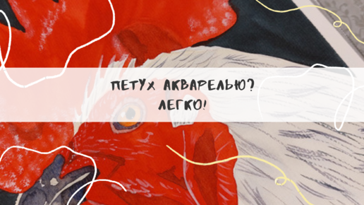 Петух акварелью