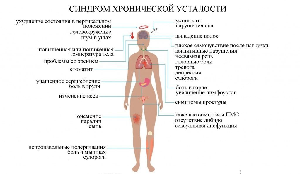 Источник clubhavana.ru