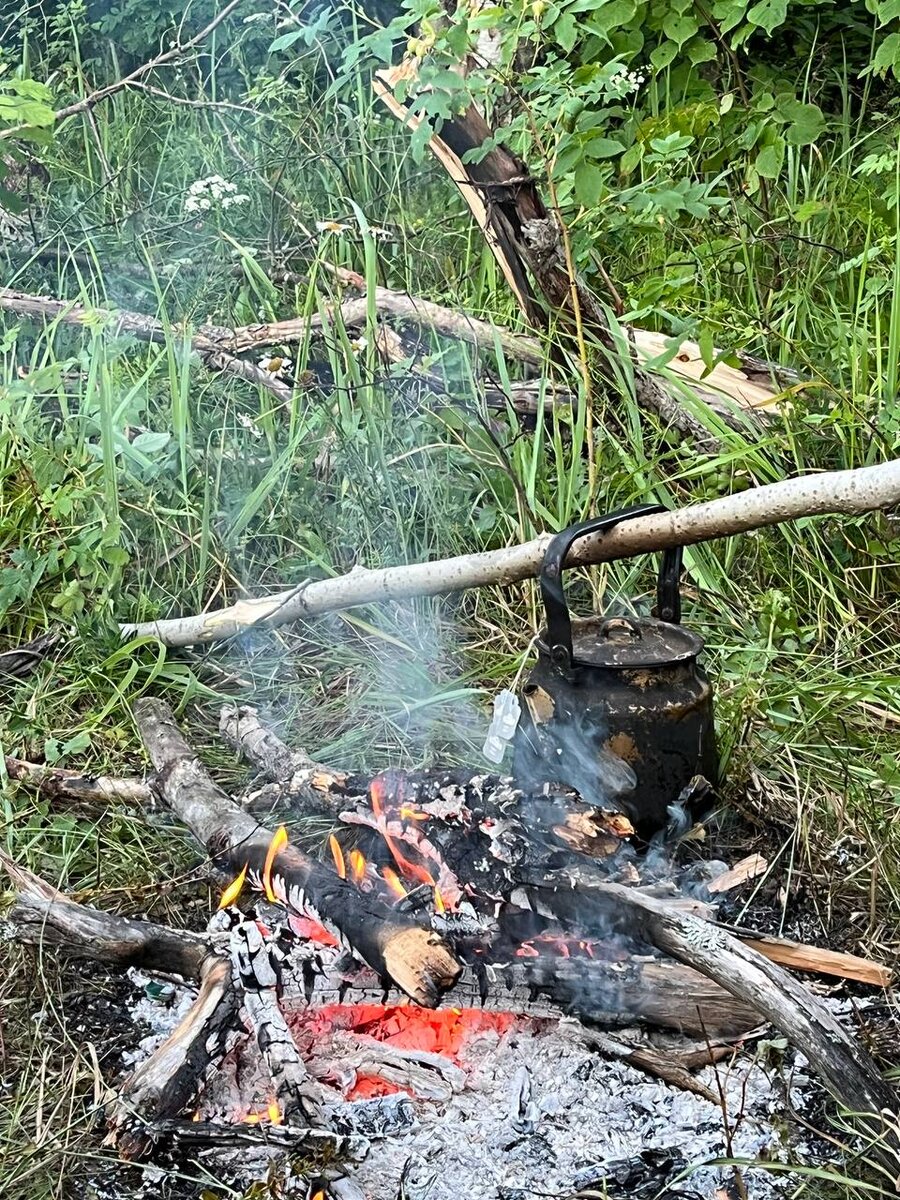 Чай кипятится бесконечно. С листьями смородины, сгущеночкой