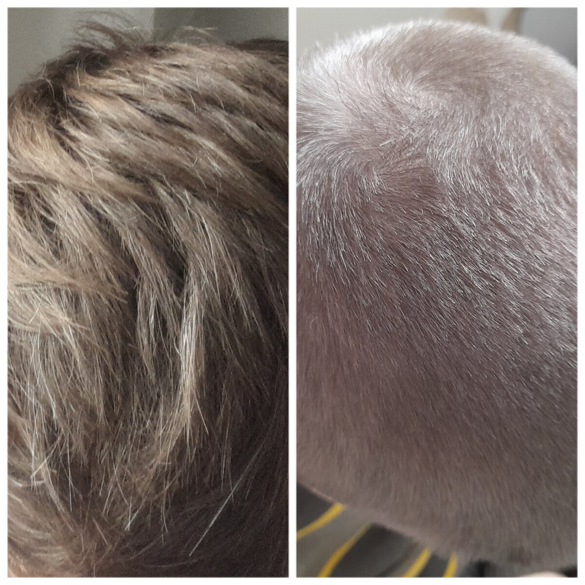 немецкий шампунь для всей семьи от Лавера