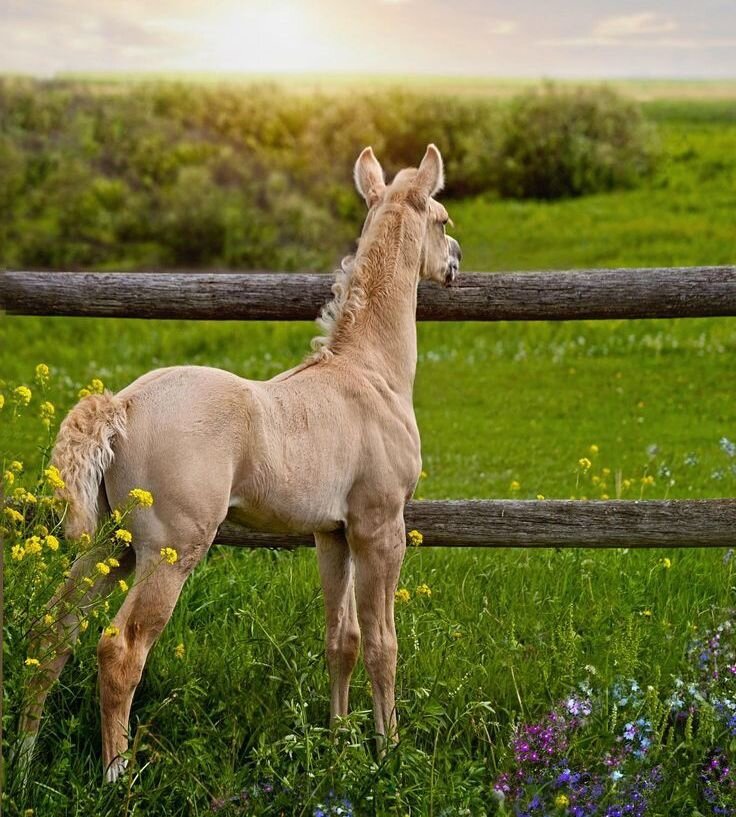 Фото livejournal.com/klukva_sugar