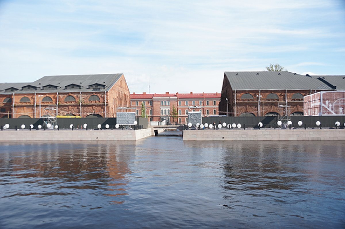    Посетители Новой Голландии заметили язя во внутреннем пруду