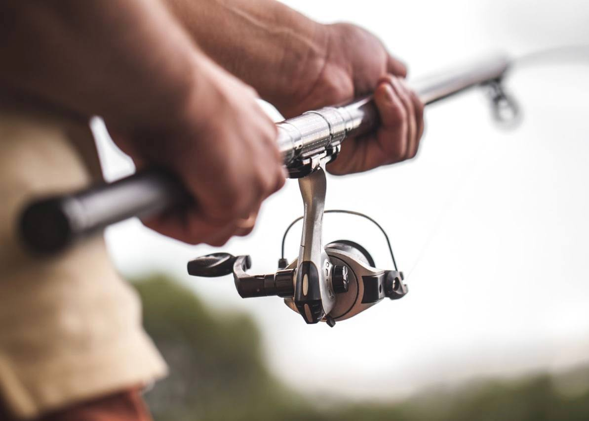 источник stock.adobe/автор Goffkein