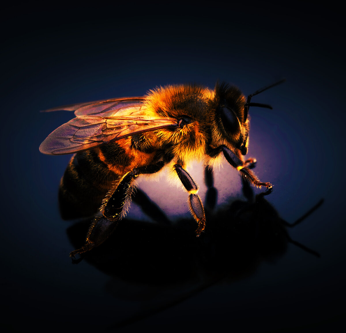 Источник фото Unsplash