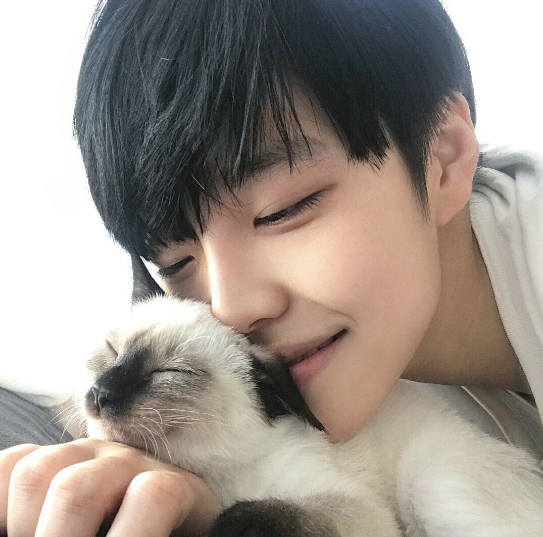 Южнокорейский парень со своим котом. источник - Яндекс картинки.