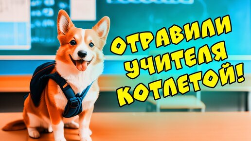 ЕСЛИ БЫ ПЁСИКИ ХОДИЛИ в ШКОЛУ! Последний звонок!! (Корги Коржик) Говорящая собака