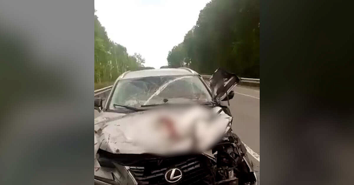 Особенности поведения