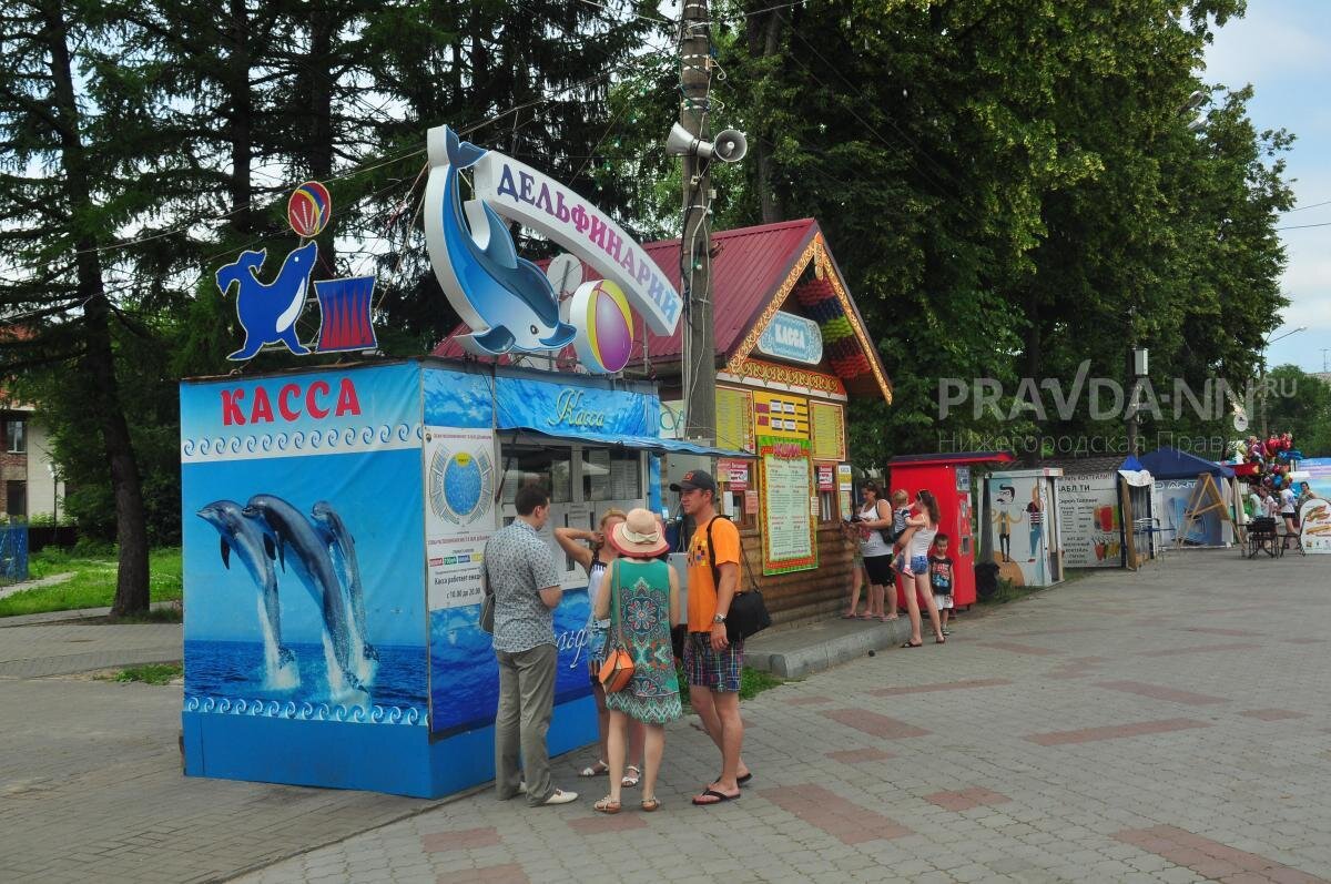 Правда или ложь: в Нижнем Новгороде закроют дельфинарий? | Нижегородская  правда | Дзен