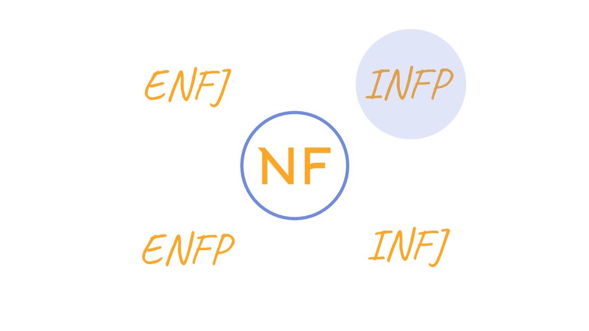 4 вариации мета-типа NF