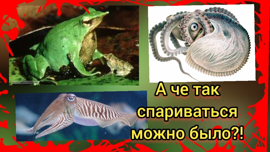 Супергерои!