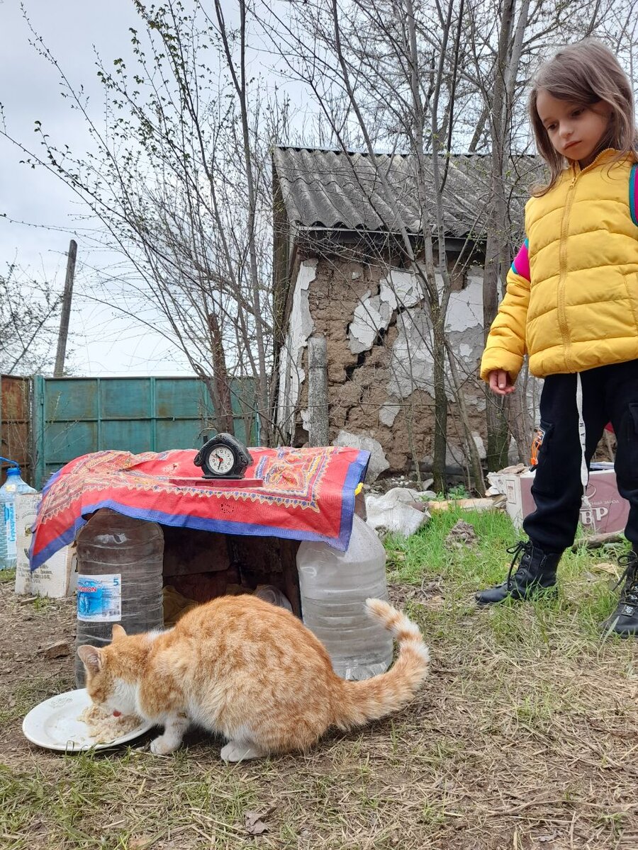 Домик с терассой, настоящей "утеплённой" крышей и часами :). Всё как и полагается, по всем правилам. 