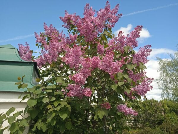    Фото: Екатерина Иванова. UG.RU