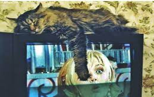 с просторов интернета для иллюстрации