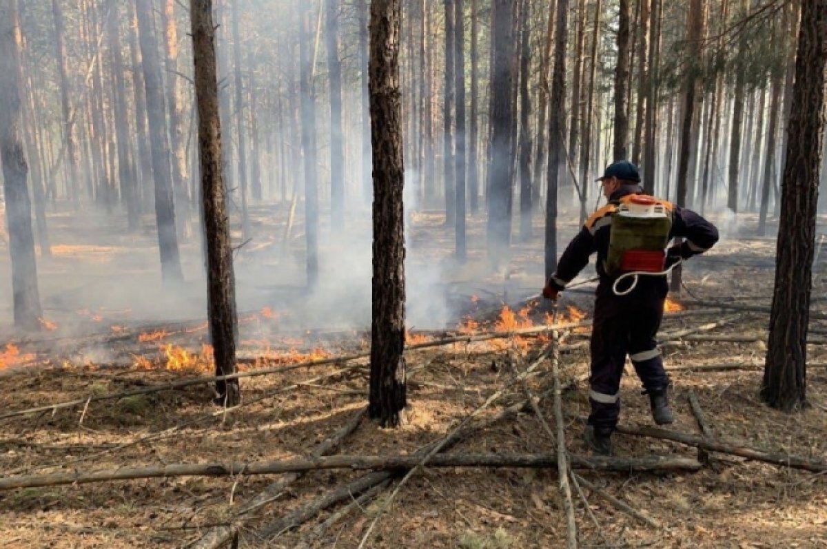    В Тюменской области действуют 4 лесных и 1 ландшафтный пожар