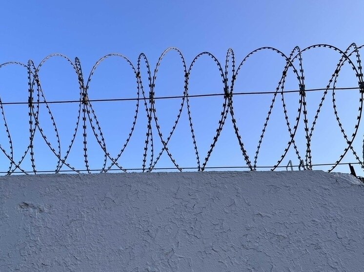 ФОТО: МК В ВОЛОГДЕ 