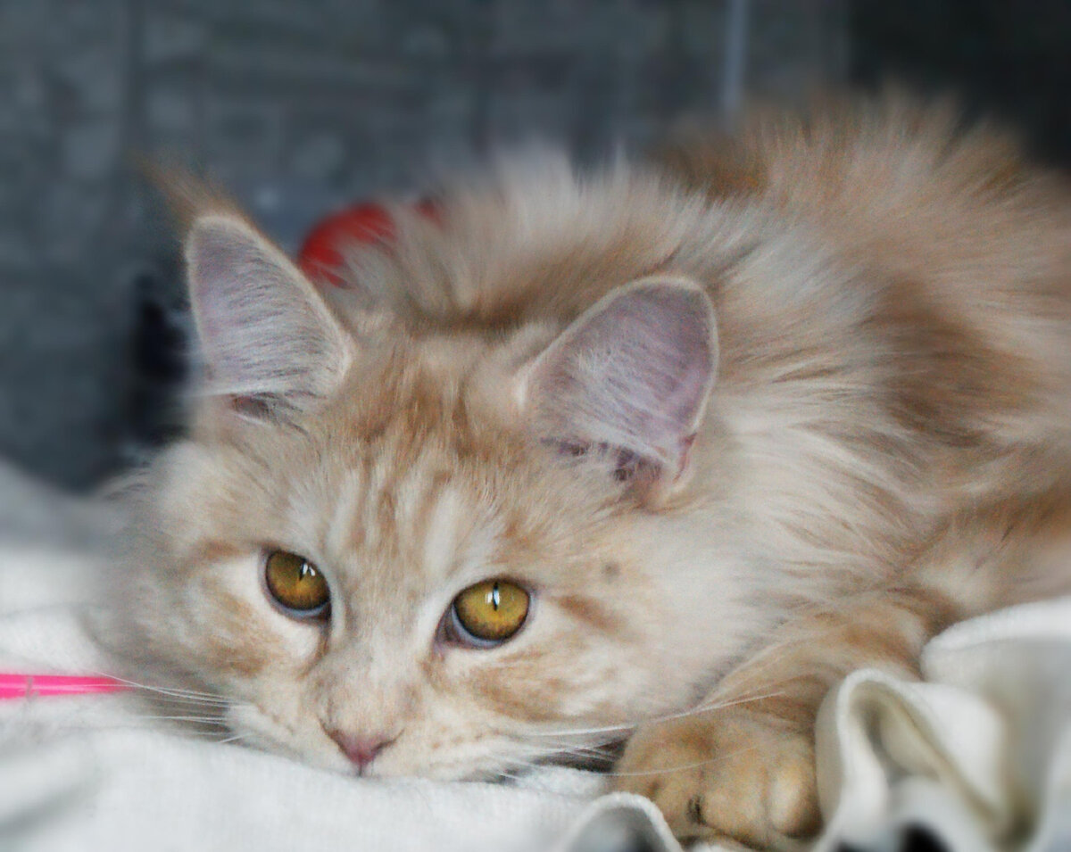 Фото из личного архива.