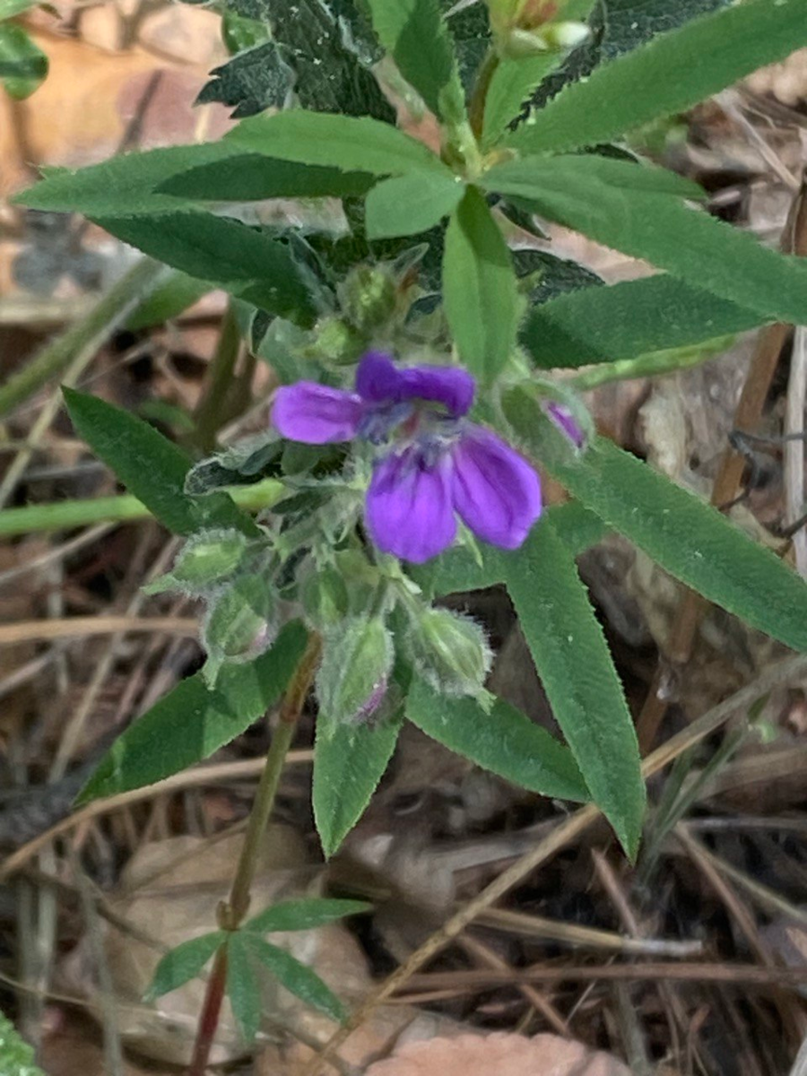 А это вам от меня