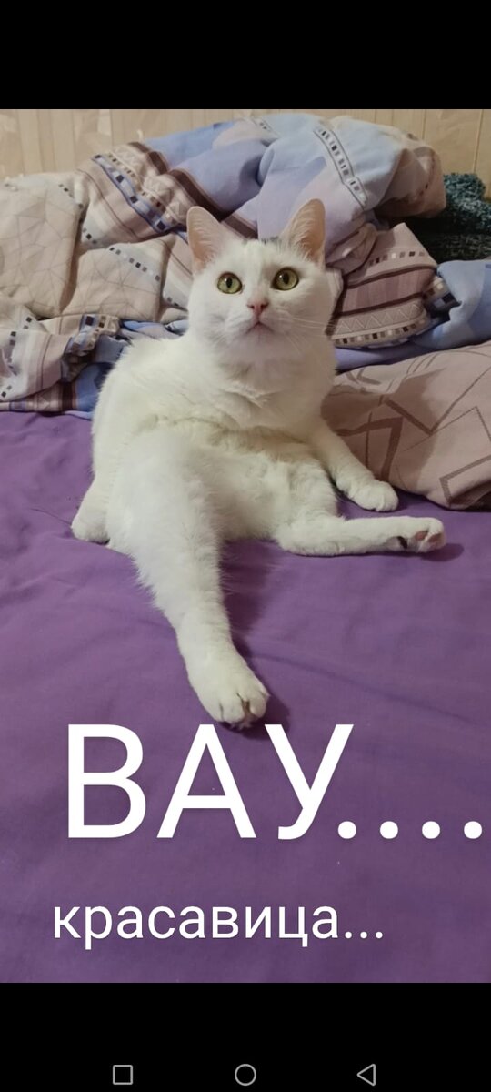 фото из личного архива