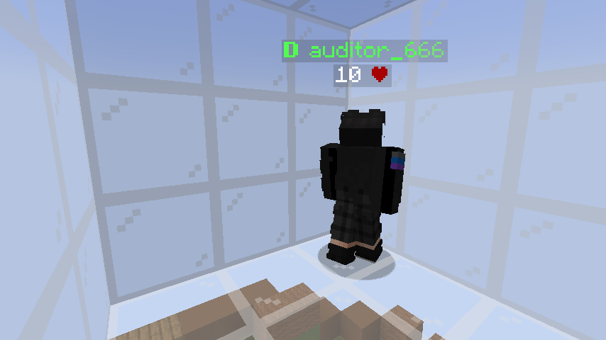 Я не выбирал auditor_666, он сам пришёл!