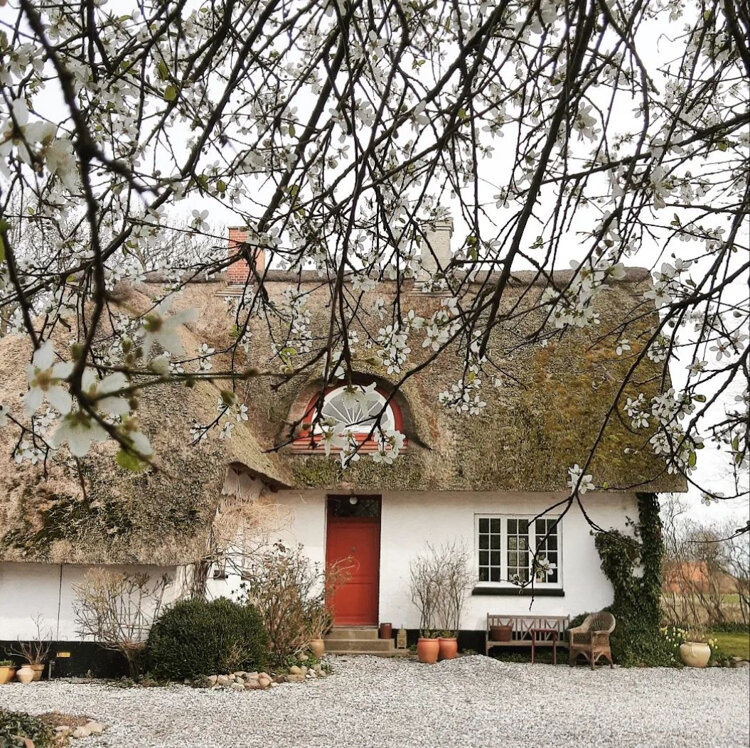 Этот дом датской художницы и дизайнера Ане Кирстин Бильде. Все ее работы вдохновлены местной флорой и фауной, поэтому и ее дом - прекрасная основа для ее иллюстраций, живописи, дизайна помещений.
