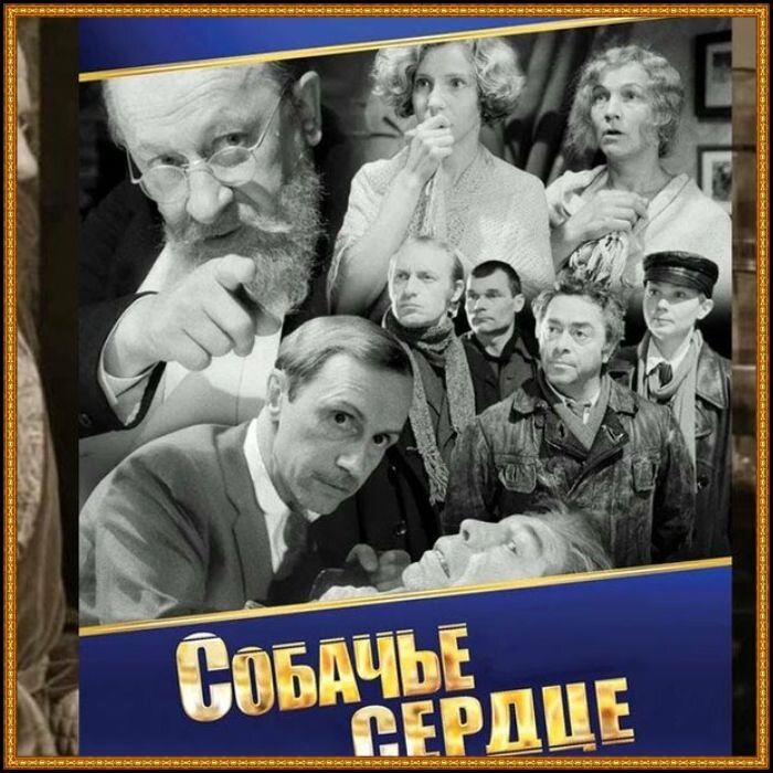 Источник фото: открытые источники Яндекс Картинки