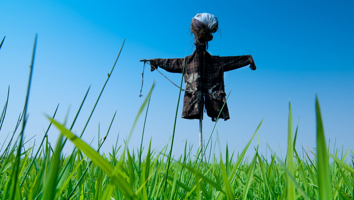     Столпотворение аграриев у Минсельхоза Ростовской области вызвано отсутствием информации. Никто не знал, что на получение субсидии можно подать электронную заявку, сообщил RostovGazeta сельхозпроизводитель Виктор Бородаев.