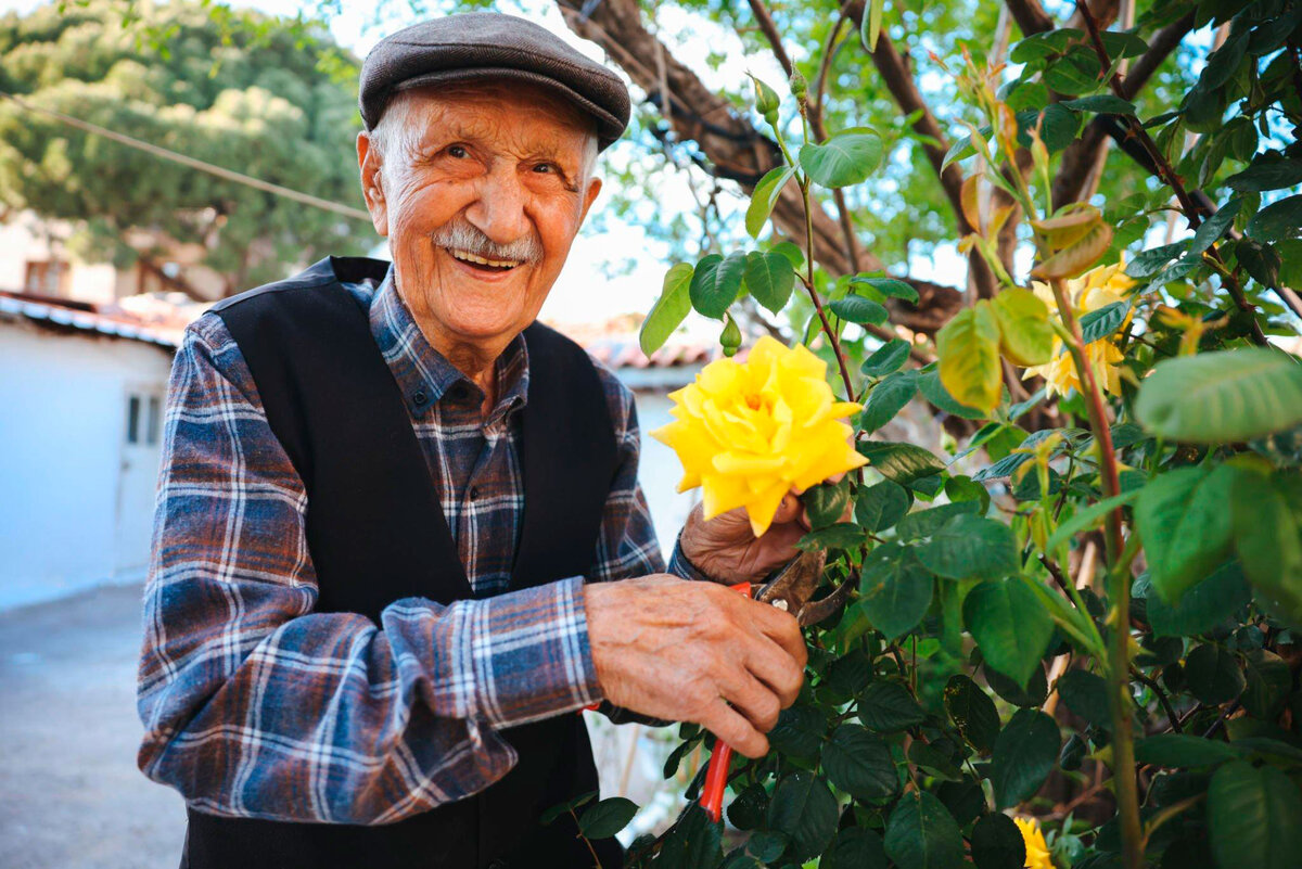 Цветы всегда радуют глаза.