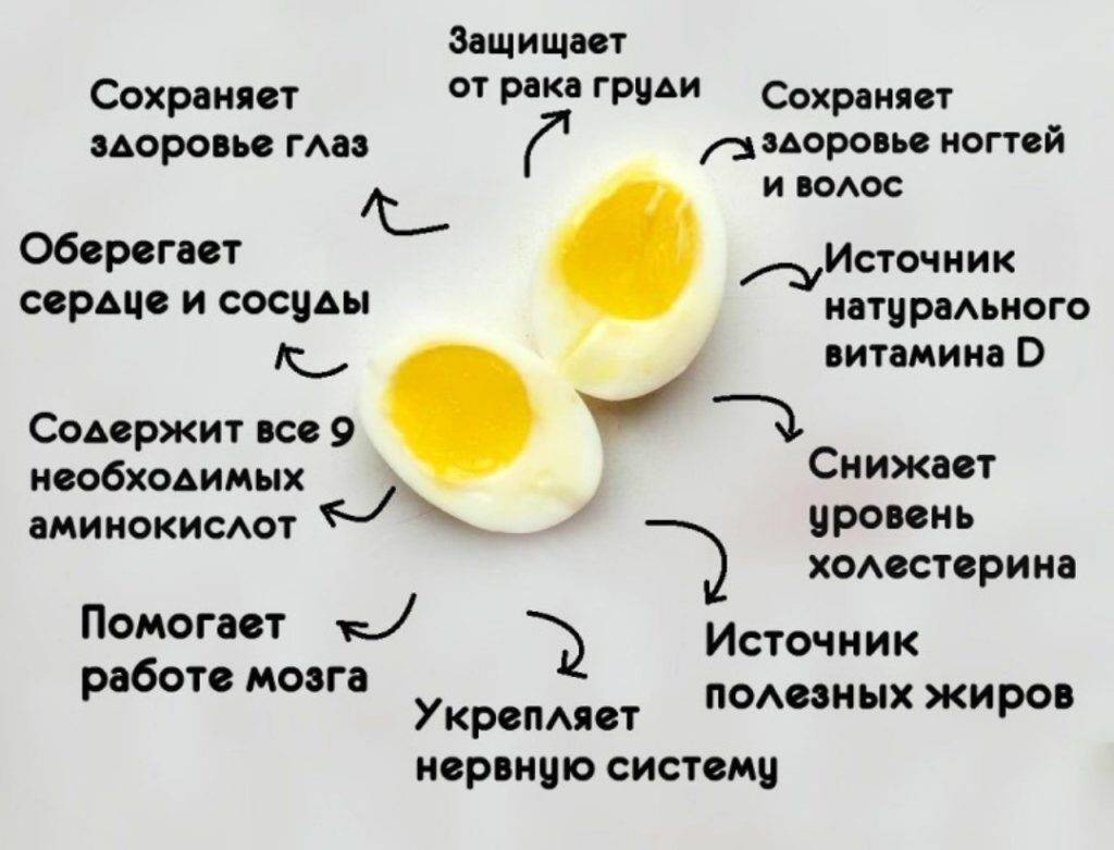 Что будет если съесть сырое яйцо. Чем полезно яйцо. Что полезного в яйцах куриных. Чем полезно яйцо куриное. Чем полезны яйца.
