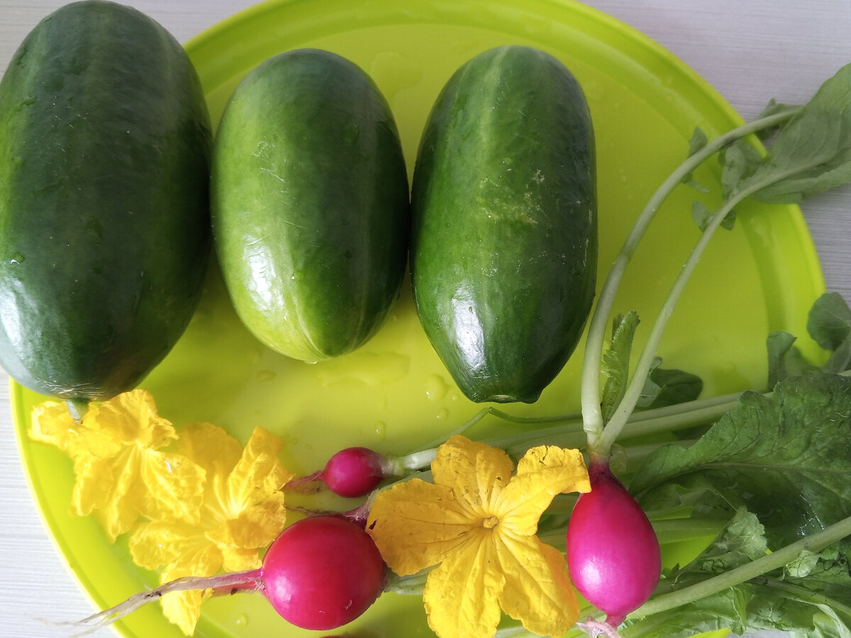 Бочонки огурцов: то ли Герман, толли Доллар