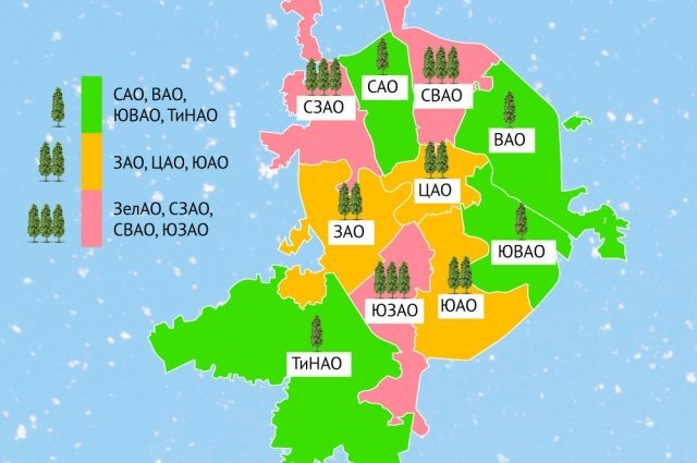    Где в Москве больше всего тополей. Инфографика