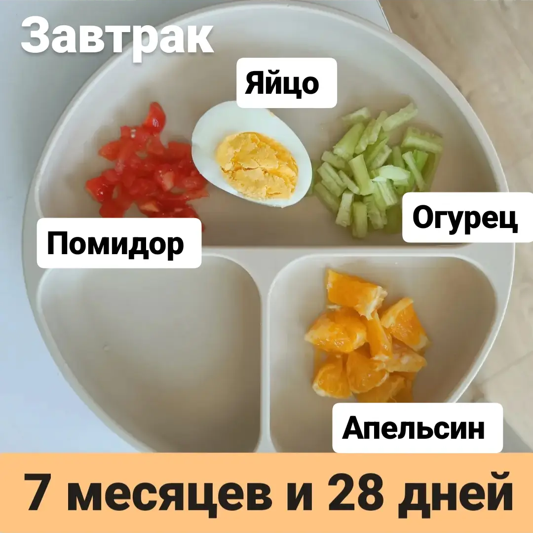 Пример тарелки в 7 месяцев 