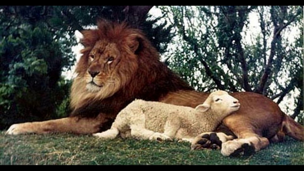 Σήμερα θα προσπαθήσουμε να συζητήσουμε μαζί σας ένα από τα βασικά ζητήματα του επερχόμενου Βασιλείου της Αγίας Ρωσίας - τη διάρκεια αυτού του βασιλείου - και πρέπει αμέσως να προειδοποιήσω τον αναγνώστη ότι το άρθρο έγινε επίσης...-3