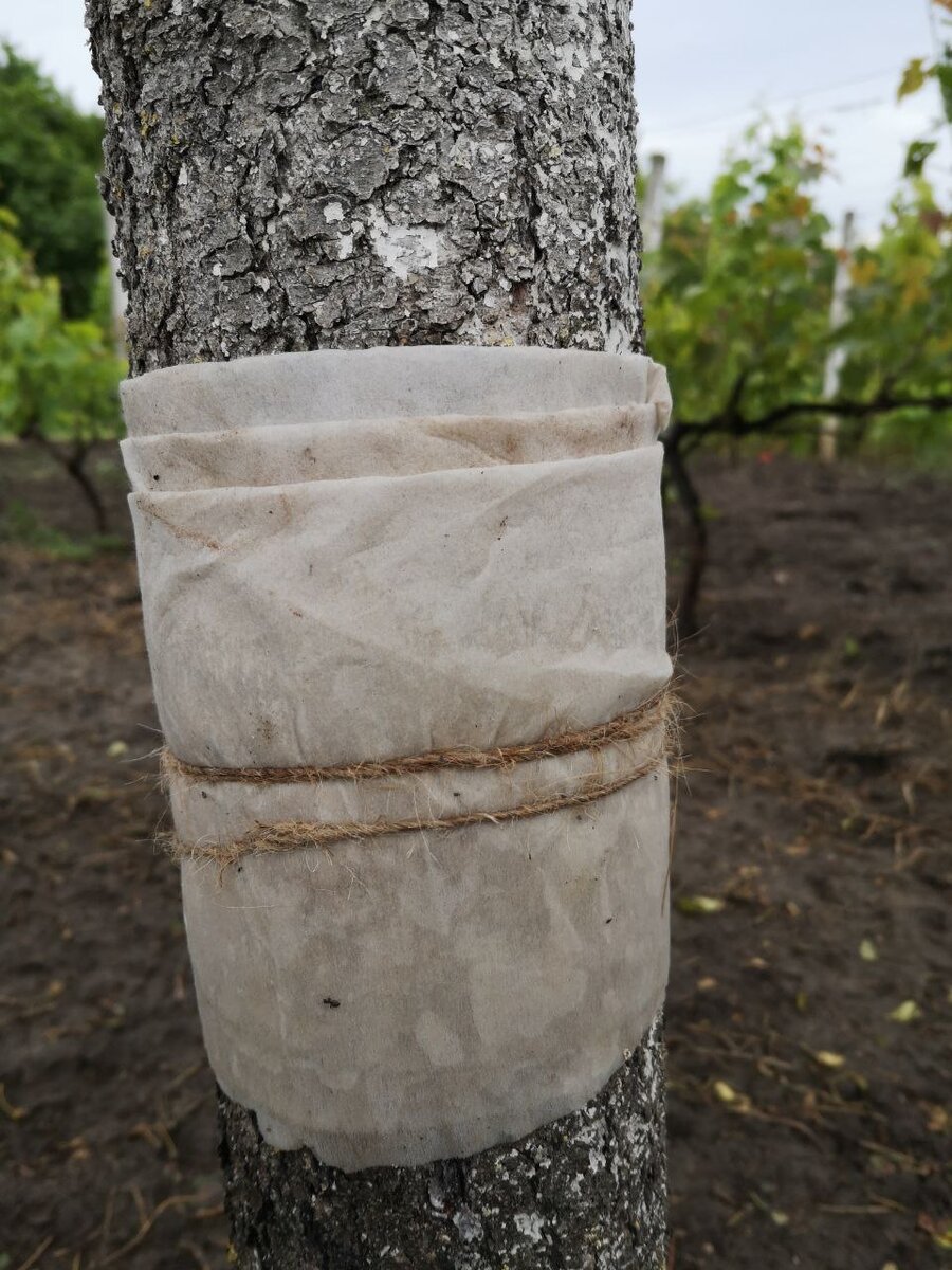 Так выглядит пояс, который сделала я из спандбонда