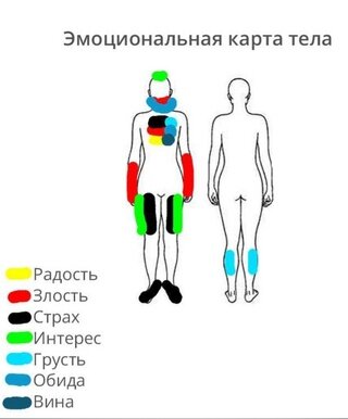 эмоции в теле