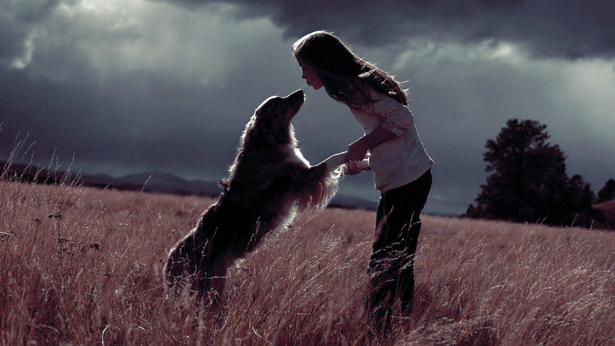 источник фото: img2.goodfon.ru