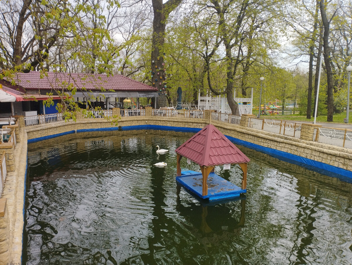 В парке недалеко от центре города очень тихо и уютно. Имеется всё для комфортного и интересного отдыха с детьми. 