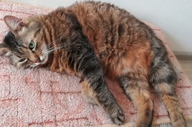    Фото: Читатель АиФ/ Оксана Смирнова