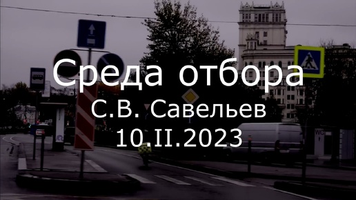 С.В. Савельев. Среда отбора - [20230210]