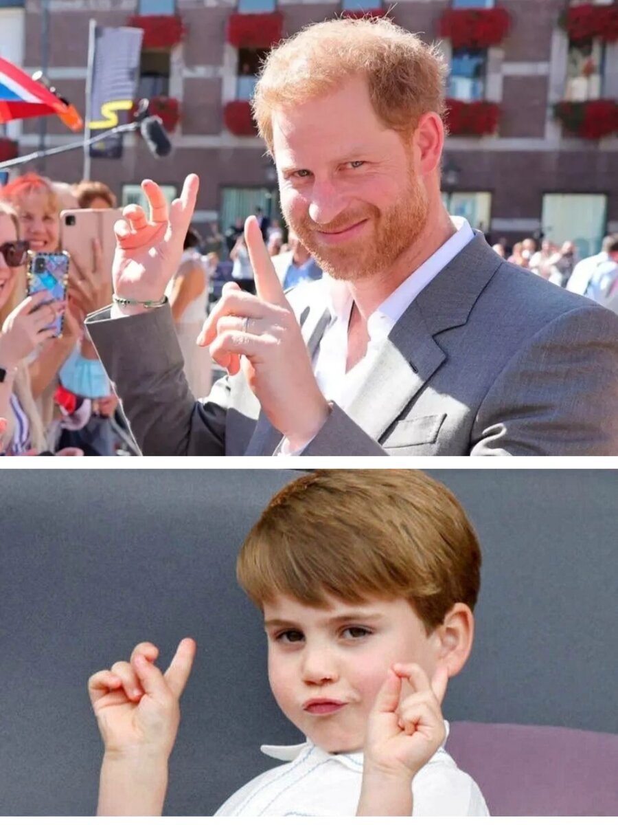 Как же похожи Гарри и Луи... Фото из интернета. 