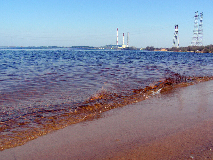     Фото Геннадий Черкасов/Московский комсомолец