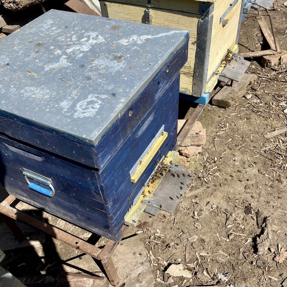 Солнечный теплый воскресный день 