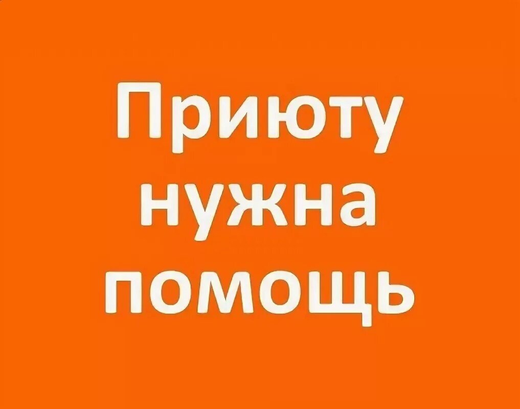 Нужна помощь приюту картинки