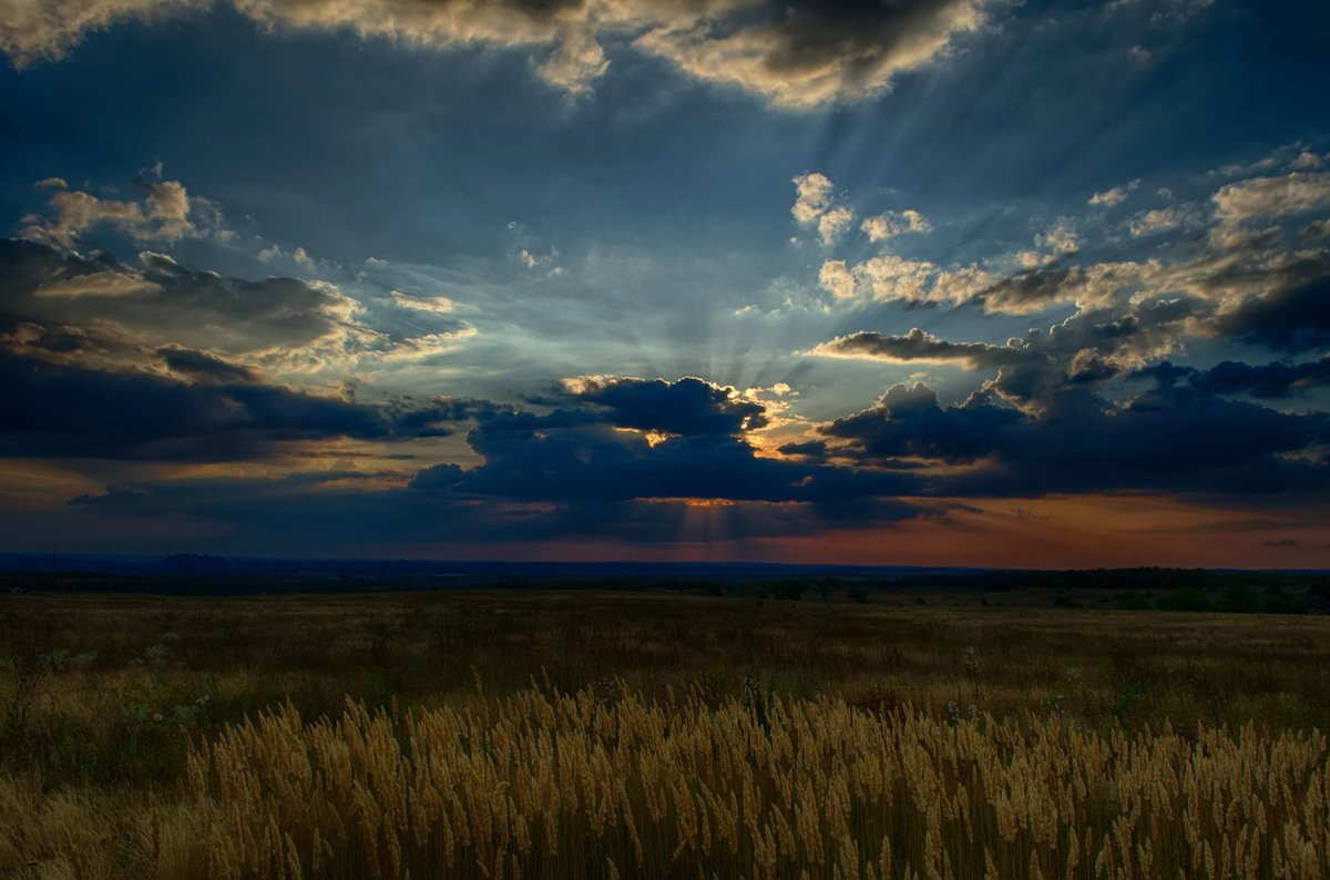 оренбургская степь заря. степная равнина калмыкии. сиять степь. степь тучи. элиста степь.