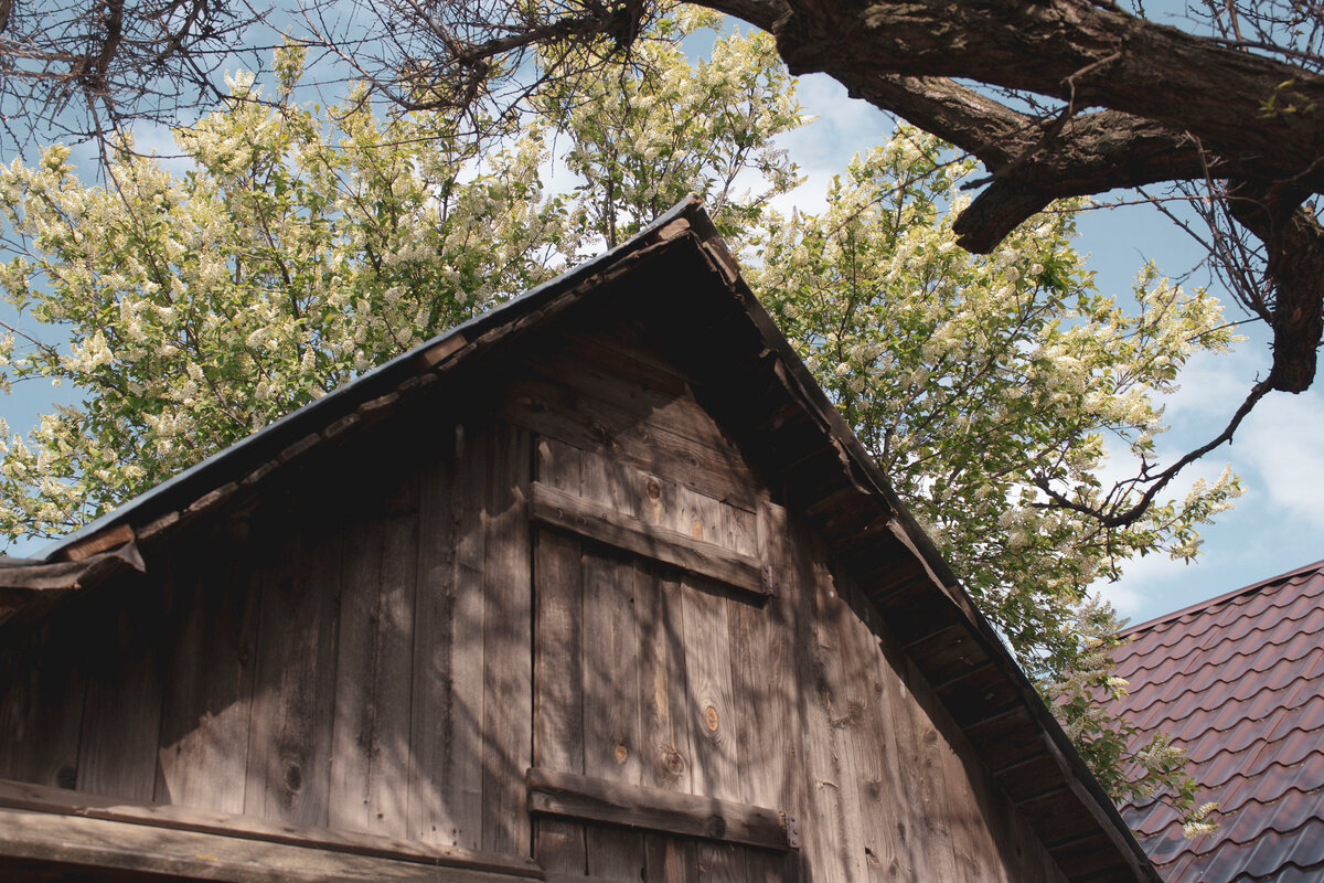 Зачем вы тогда её сажаете? (с)