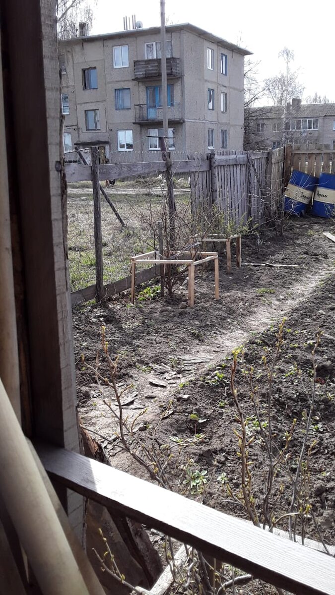 Еще немного, еще чуть-чуть...и все будет зеленое и красивое!